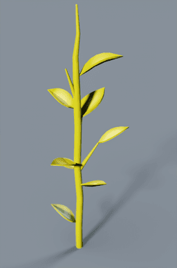 Plant1_Camera_3.png