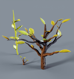 Plant1_Camera_5_FullQuality.png