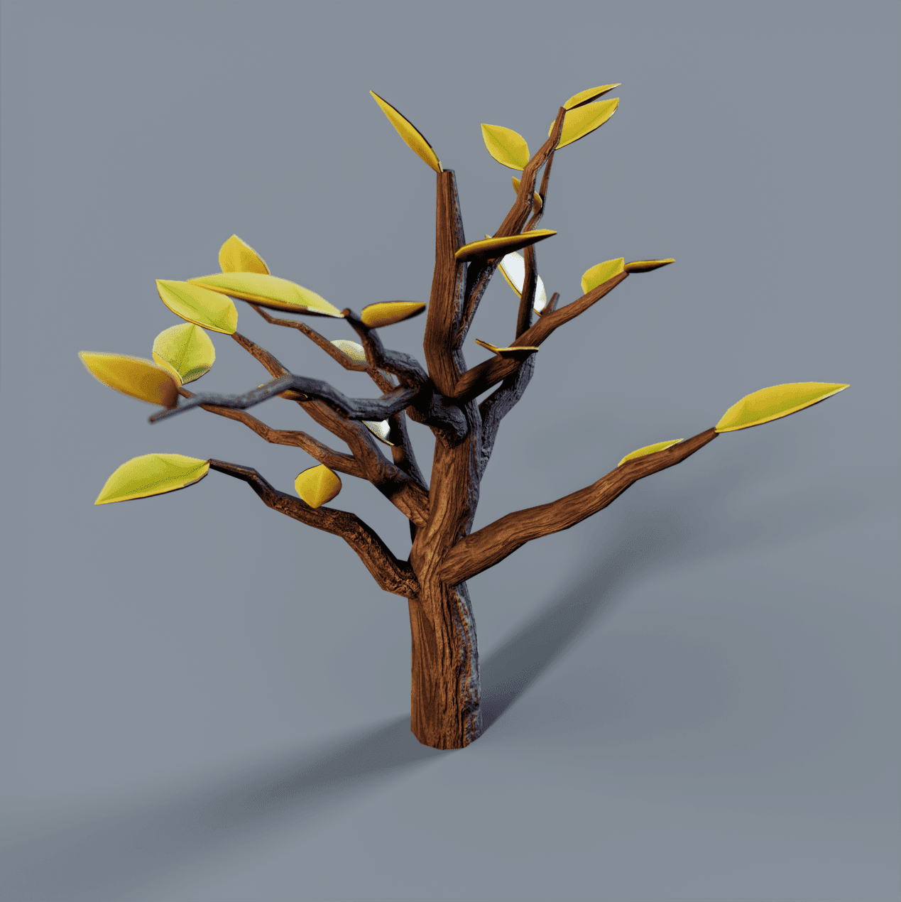 Plant